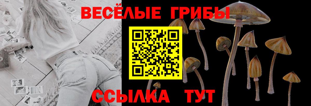 Галлюциногенные грибы Magic Shrooms  Вход с VPN  Боровичи 